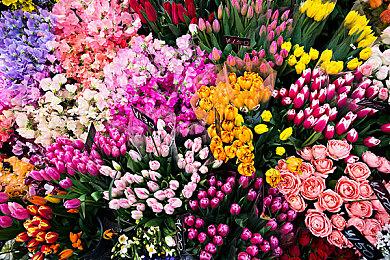 《黑神话：悟空》冯骥力点赞《归唐》：就要这样，理当这样