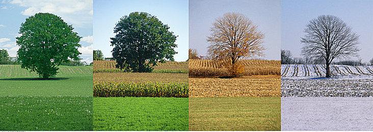 第一人称恐怖游戏《麦迪逊》新预告 7月8日发售